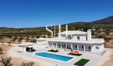 Villa - Nowy budynek - Pinoso - 87967