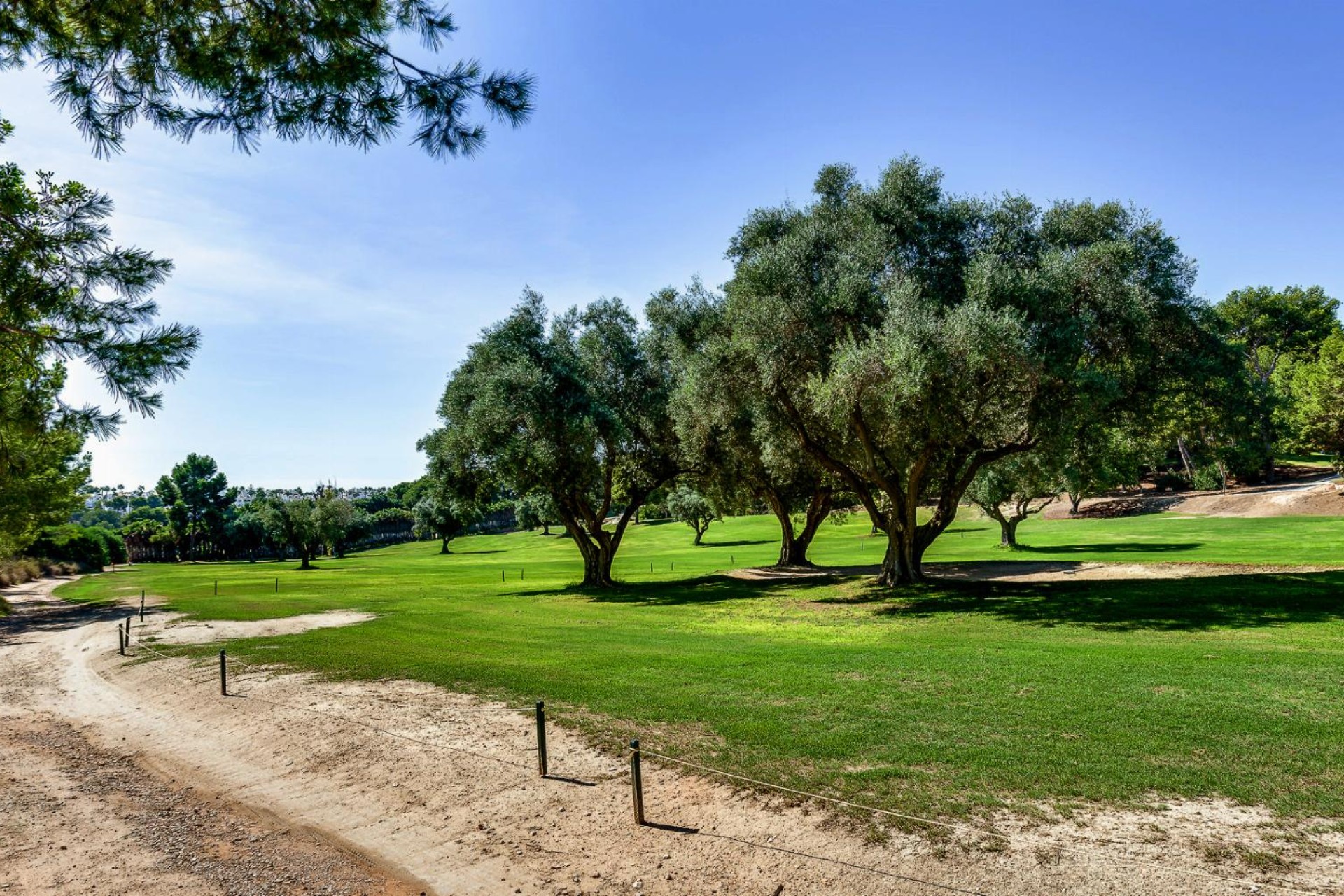 Wiederverkauf - Bungalow - Orihuela Costa - Costa Blanca