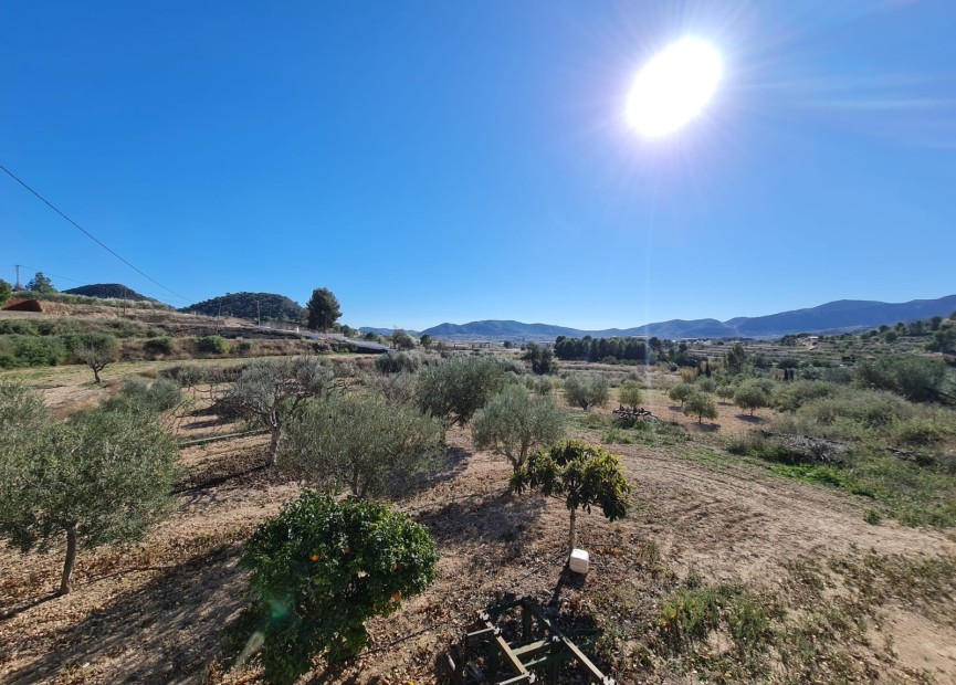 Wiederverkauf - Finca - La Romana - Inland