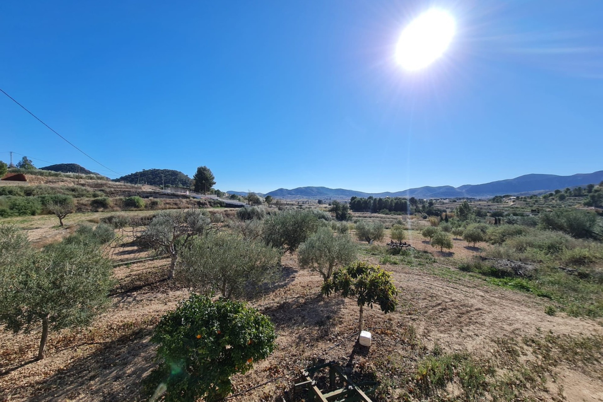 Wiederverkauf - Finca - La Romana - Inland