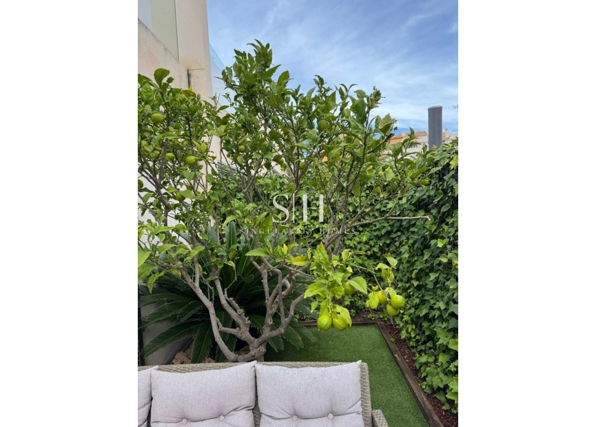 Wiederverkauf - Haus - Torrevieja - Punta prima