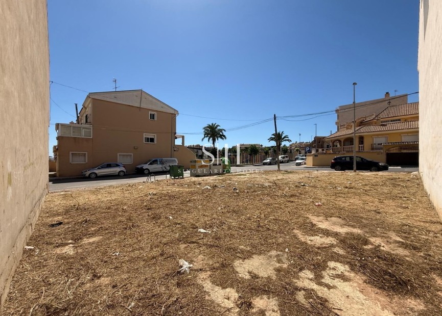 Wiederverkauf - Plot - San Miguel de Salinas - CENTRO URBANO