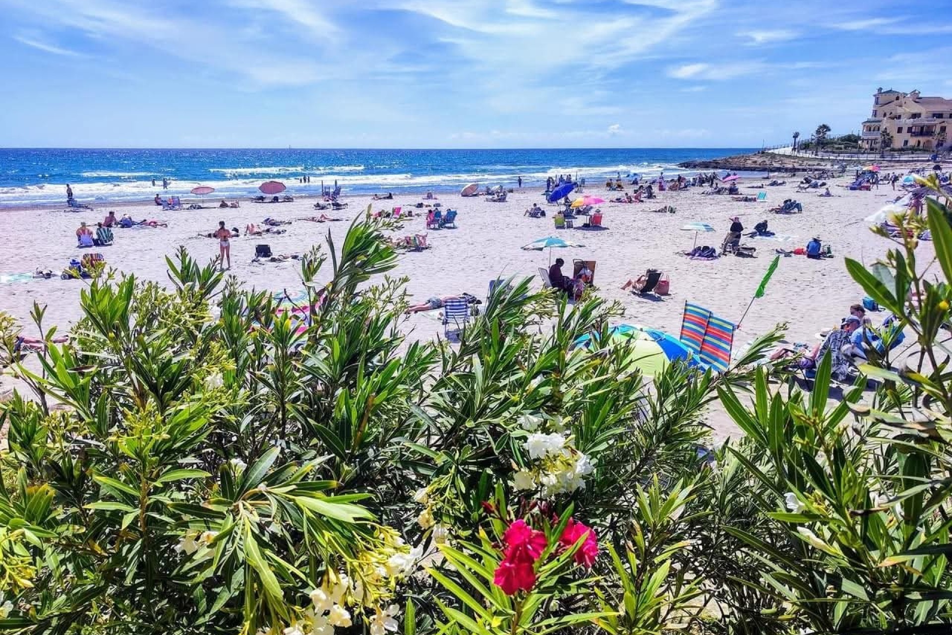 Wiederverkauf - Town House - Orihuela Costa - La Zenia