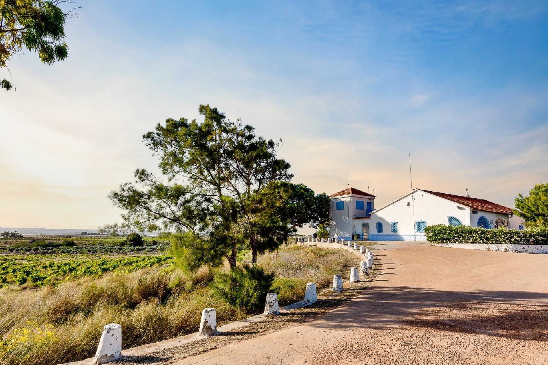 Wiederverkauf - Town House - Torrevieja - San Luis