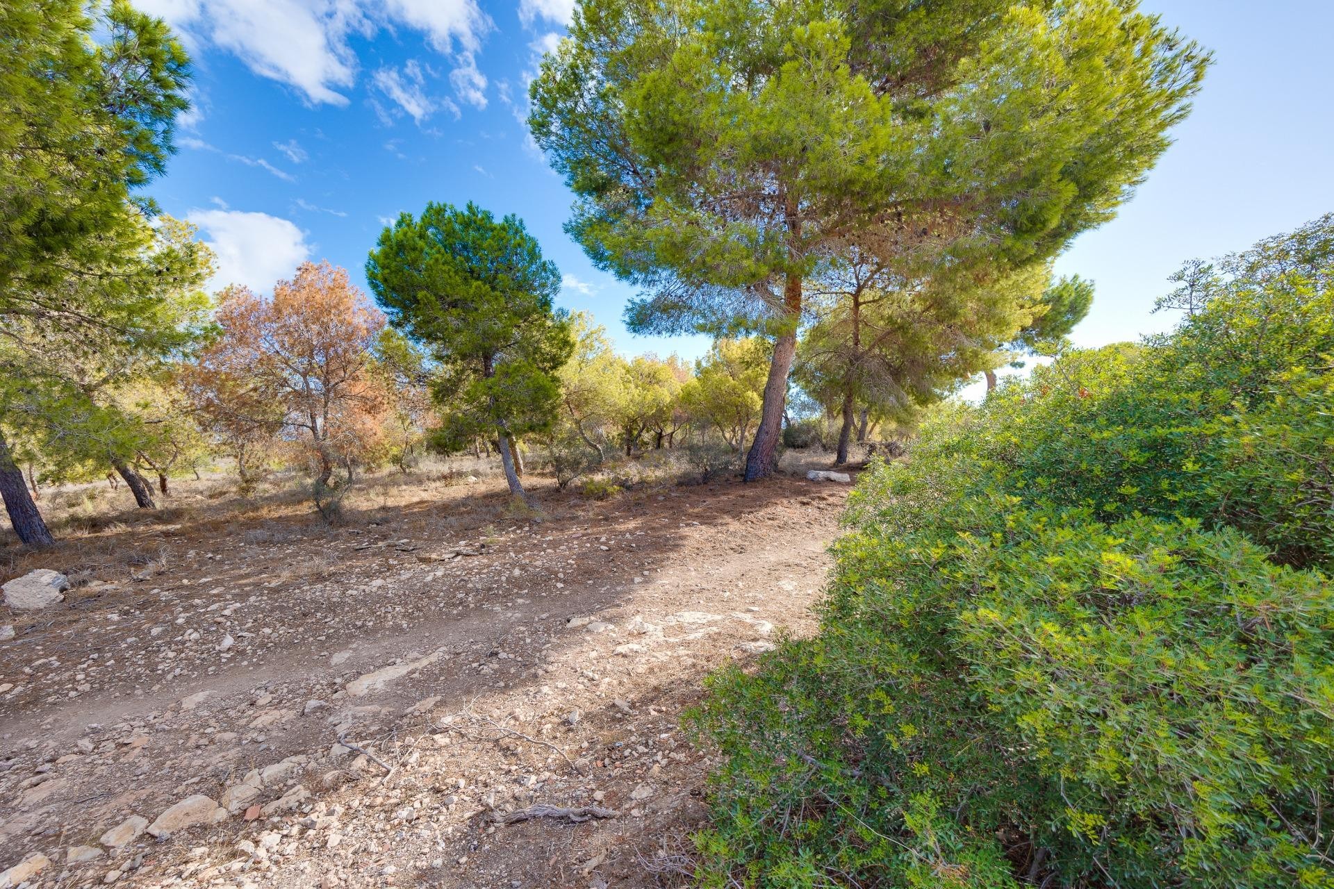 Wiederverkauf - Town House - Torrevieja - San Luis