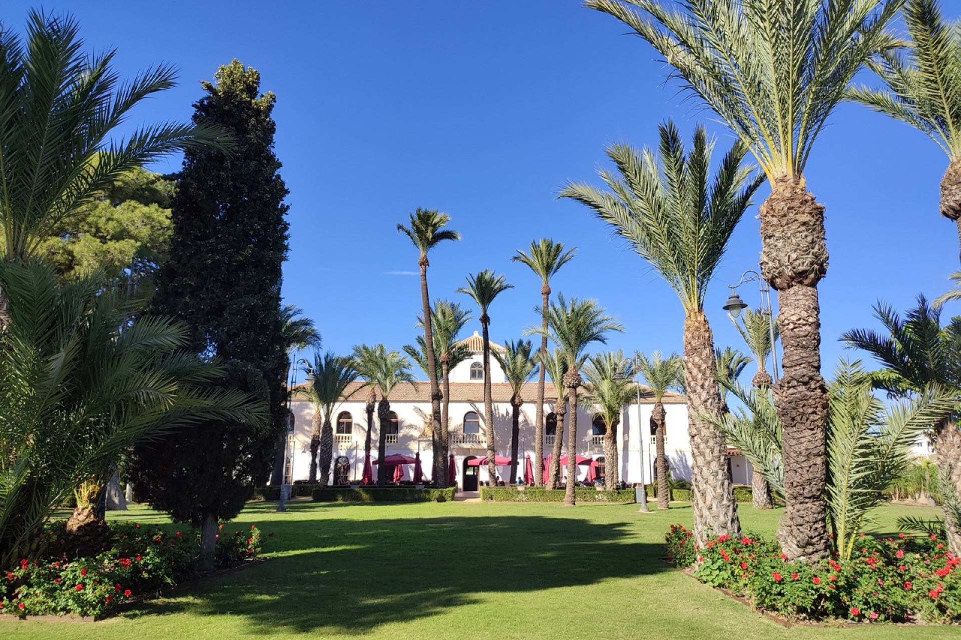 Wiederverkauf - Wohnung - Hacienda Riquelme Golf Resort - Inland