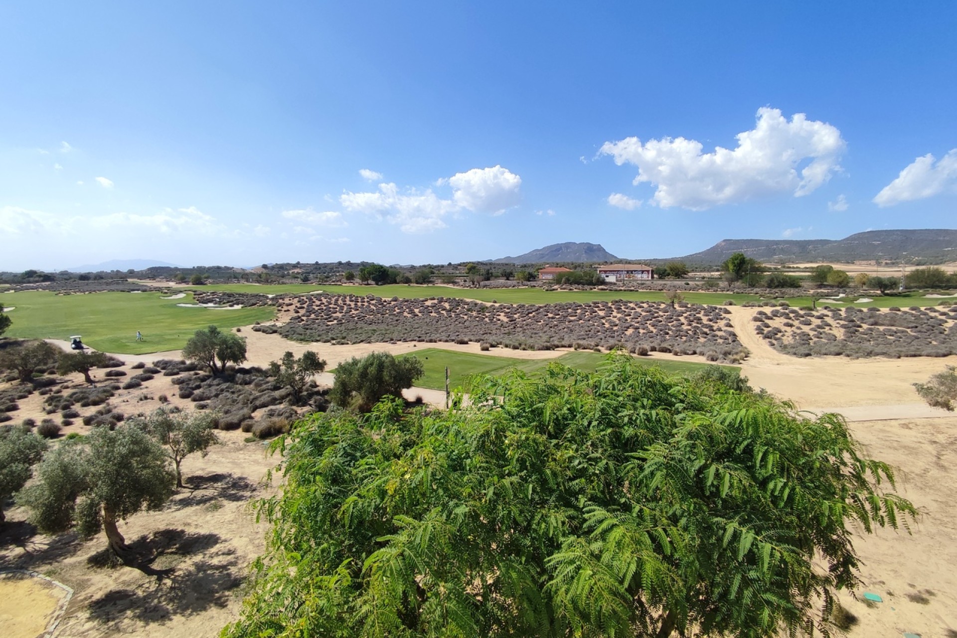 Wiederverkauf - Wohnung - Hacienda Riquelme Golf Resort - Inland