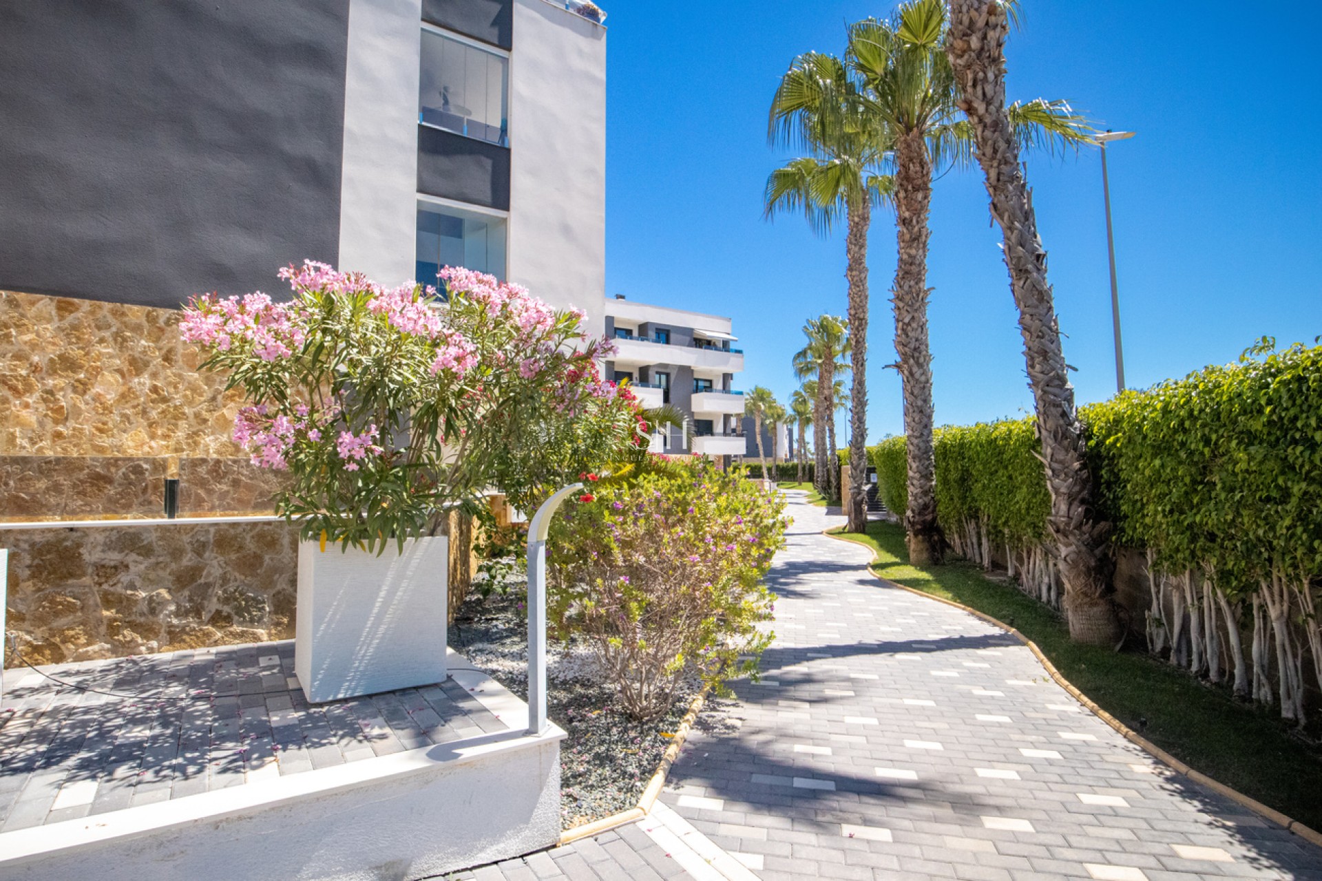 Wiederverkauf - Wohnung - Torrevieja - AMANECER