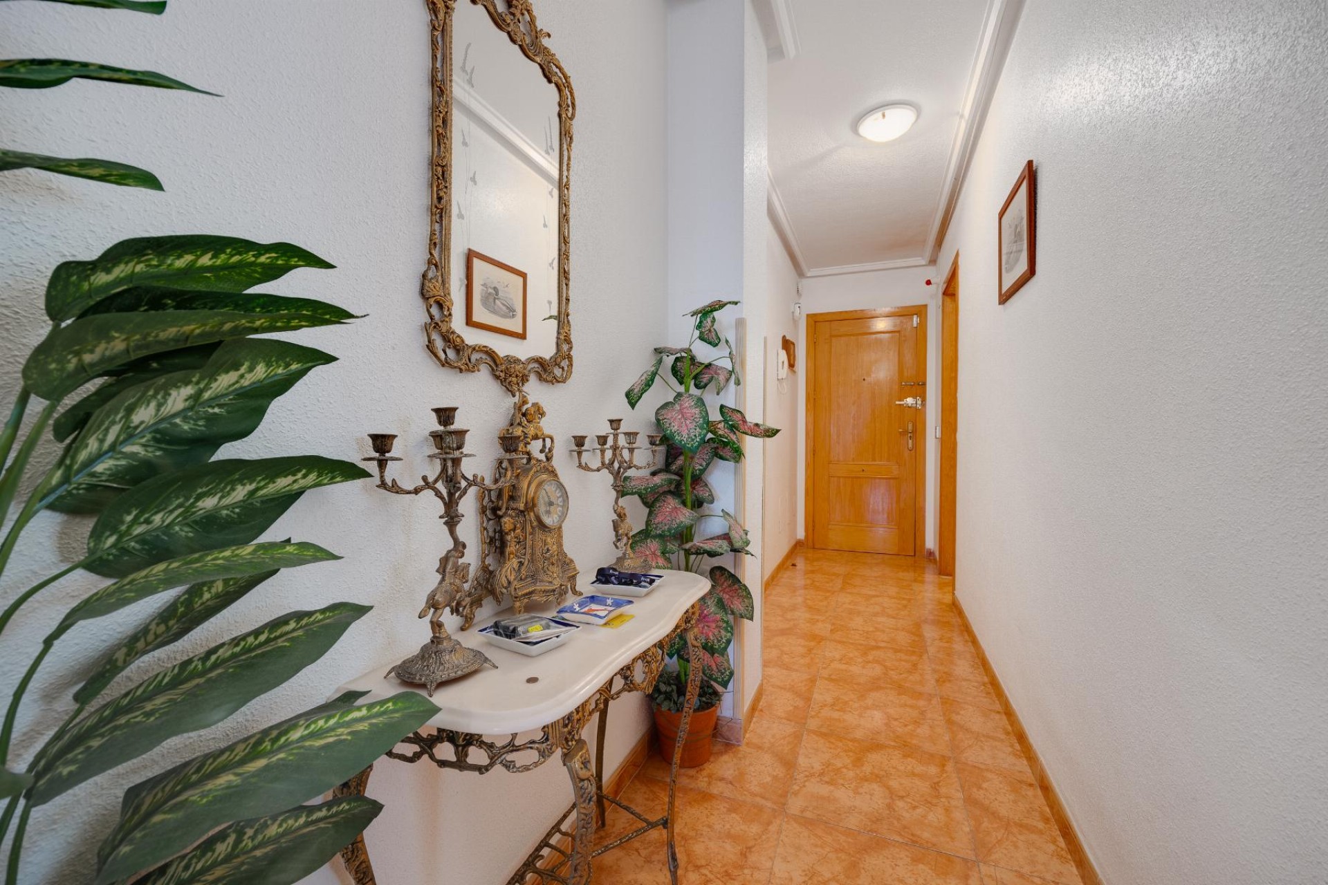 Wiederverkauf - Wohnung - Torrevieja - Costa Blanca