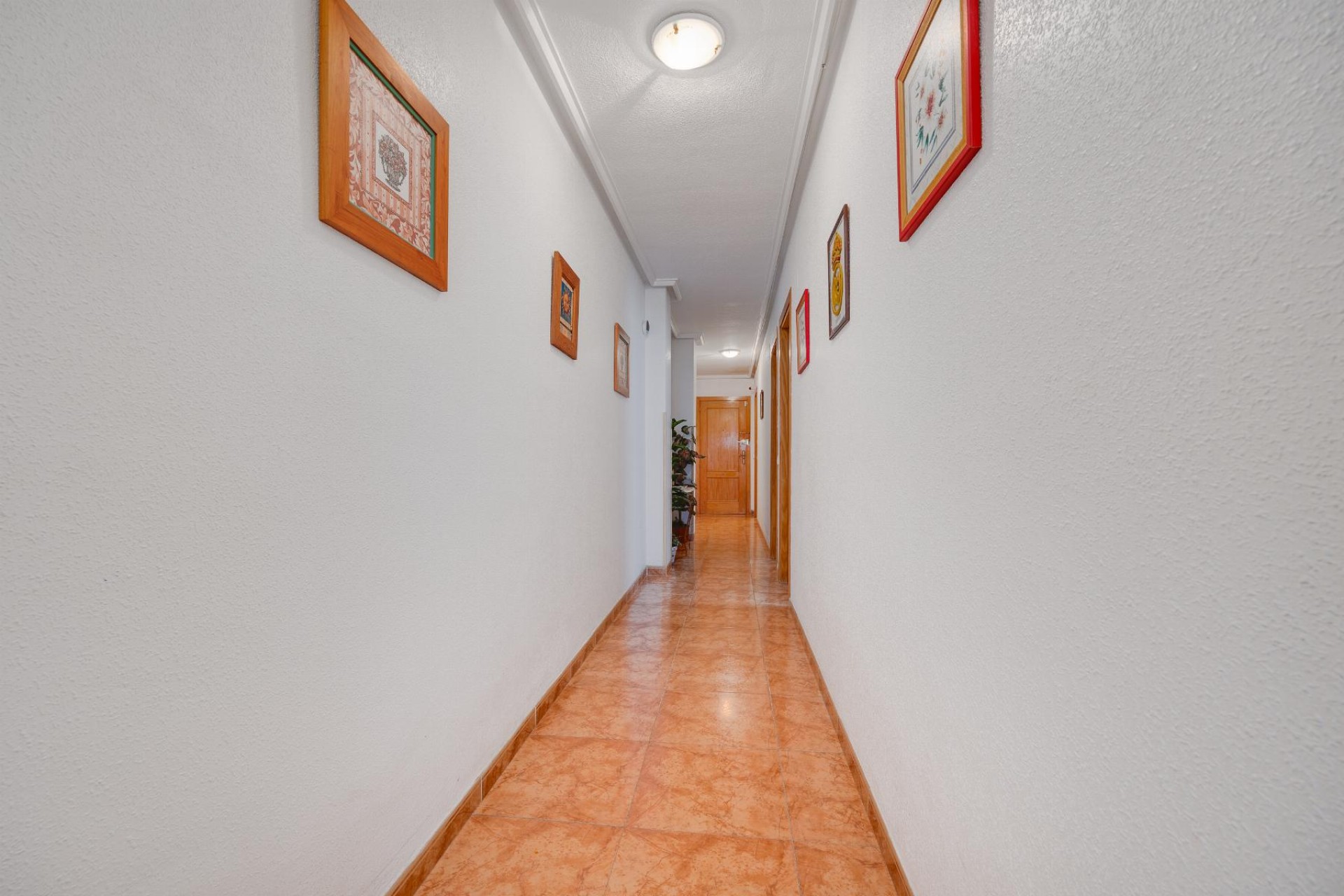 Wiederverkauf - Wohnung - Torrevieja - Costa Blanca