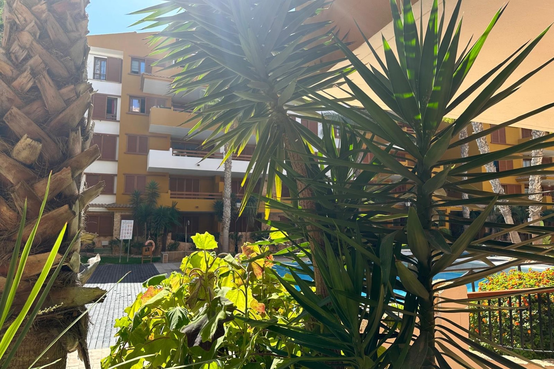 Wiederverkauf - Wohnung - Torrevieja - Costa Blanca