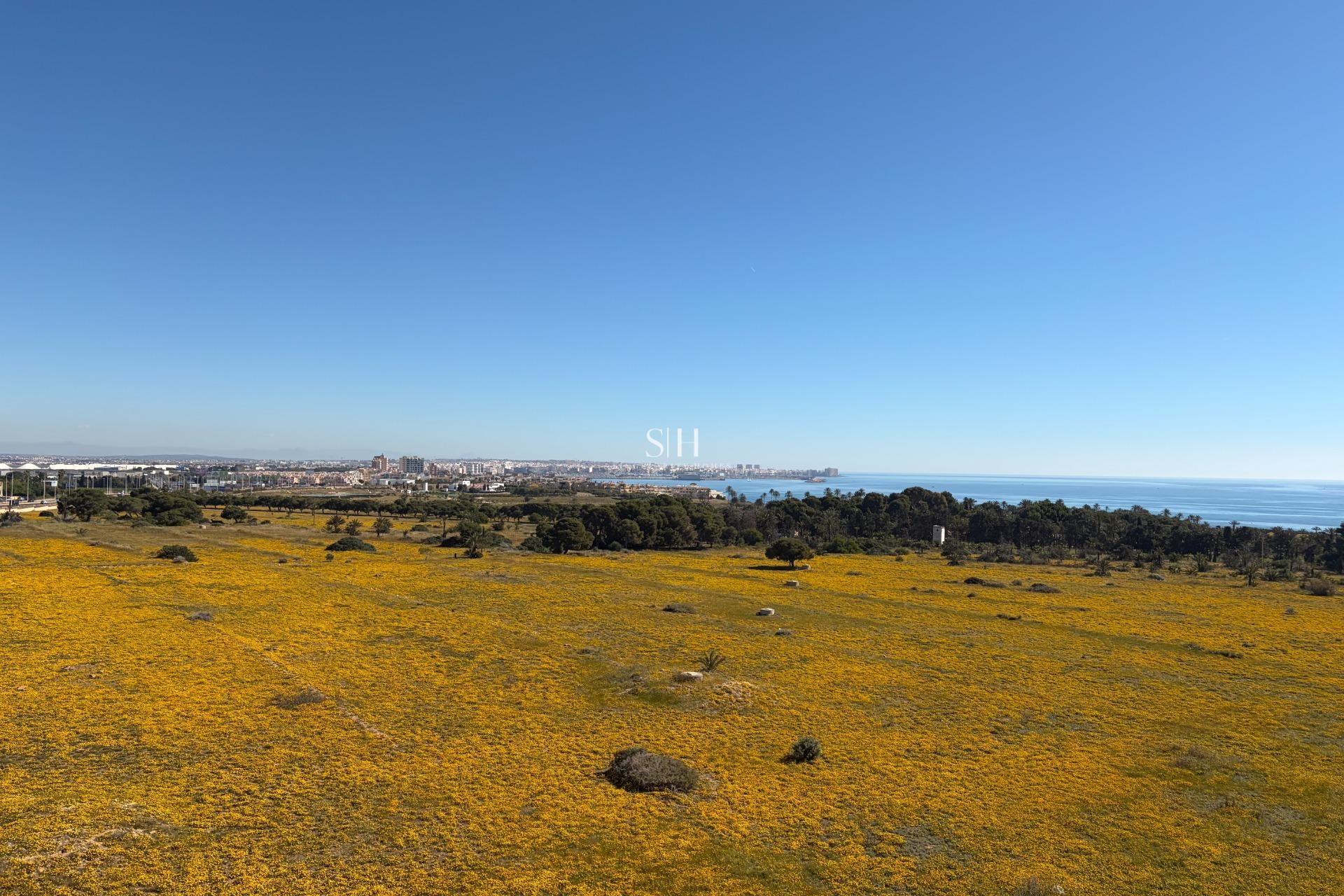 Wiederverkauf - Wohnung - Torrevieja - Punta prima