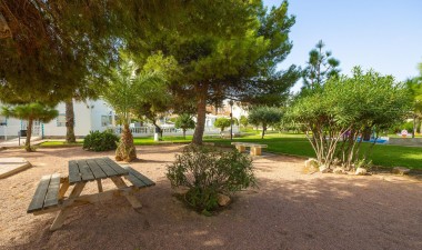 Resale - Town House - Torrevieja - Torreta Florida