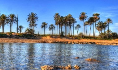 Neue Gebäude - Wohnung - Torrevieja - Playa de El Cura