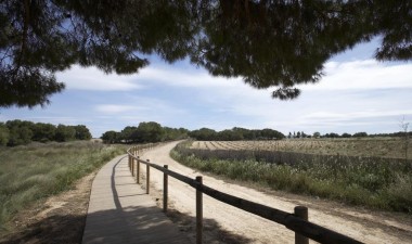 Neue Gebäude - Bungalow - Torrevieja - Altos del Sol