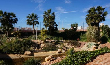 Resale - Penthouse - Orihuela Costa - Playa Flamenca