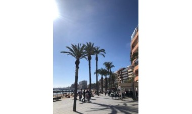 Resale - Apartment / flat - Torrevieja - Costa Blanca