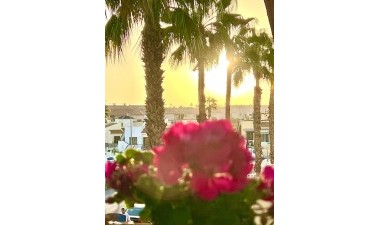 Resale - Bungalow - Orihuela Costa - Playa Flamenca