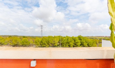 Resale - Apartment / flat - Orihuela Costa - PAU 26