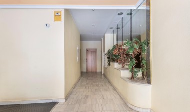 Resale - Apartment / flat - Torrevieja - Playa del Cura