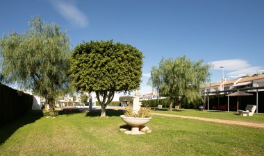 Resale - Town House - Torrevieja - Costa Blanca