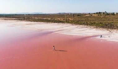 Obra nueva - Villa - Torrevieja - Aguas nuevas 1