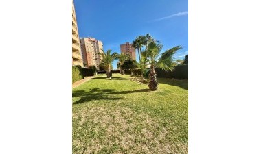 Resale - Apartment / flat - Alicante - Campoamor