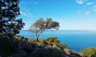 Neue Gebäude - Wohnung - Villajoyosa - Playa Les Torres