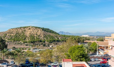 Obra nueva - Apartamento / piso - Guardamar del Segura - CENTRO