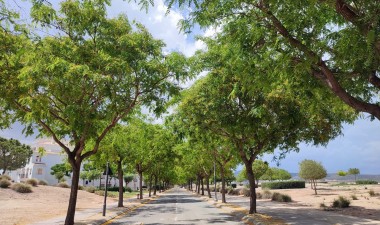 Återförsäljning - Lägenhet / lägenhet - Hacienda Riquelme Golf Resort - Inland