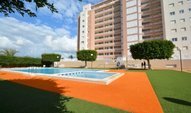 Resale - Apartment / flat - Guardamar del Segura - Costa Blanca