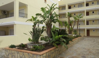 Wiederverkauf - Wohnung - Orihuela Costa - Costa Blanca