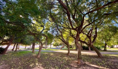 Reventa - Casa - Torrevieja - Calas Blanca