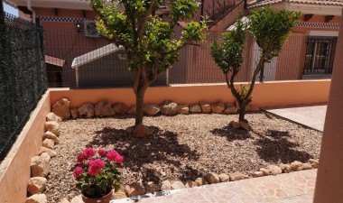 Resale - Villa - Los Montesinos - Costa Blanca