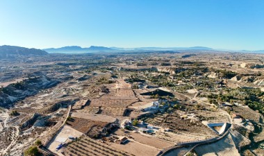 Reventa - Villa - Abanilla - Cañada de la Leña