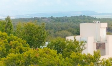 Nieuwbouw Woningen - Villa - Orihuela Costa - PAU 26