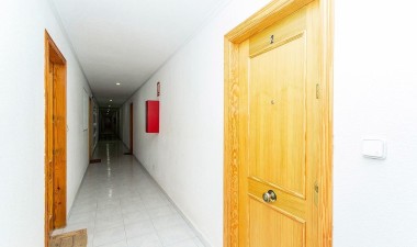 Resale - Apartment / flat - Torrevieja - Acequion