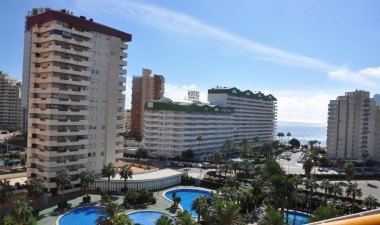 Obra nueva - Apartamento / piso - Calpe - La Calalga