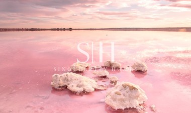 Новое здание - Квартира / квартира - Torrevieja - El Chaparral