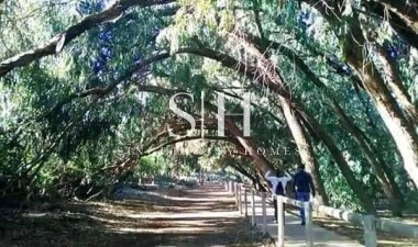 New Build - Bungalow - Torrevieja - Altos del Sol