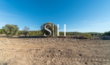 Reventa - Country land - Pilar de la Horadada - Pinar de la Perdiz