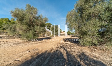 Reventa - Country land - Pilar de la Horadada - Pinar de la Perdiz