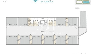 New Build - Apartment / flat - Pilar de la Horadada