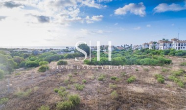 New Build - Apartment / flat - Orihuela Costa - Playa Flamenca