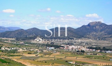 Новое здание - Villa - La Romana - Batistes