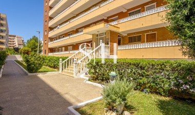 Odsprzedaż - Mieszkanie w bloku - Torrevieja - Rocio Del Mar