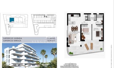 Новое здание - Квартира / квартира - Pilar de la Horadada - Mil Palmeras