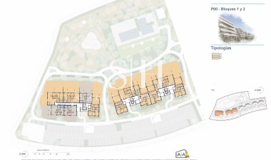 New Build - Apartment / flat - Denia - Playa de La Almadraba