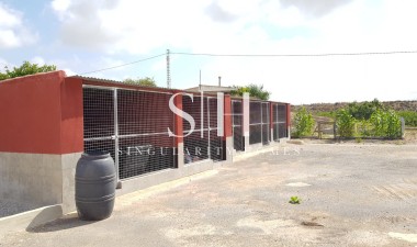 Перепродажа - Villa - Montesinos - Los Montesinos