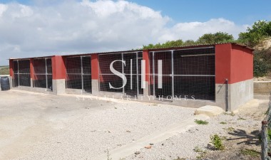 Перепродажа - Villa - Montesinos - Los Montesinos